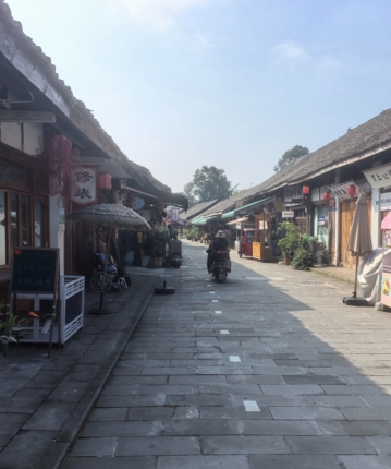 高山一颗松的头像