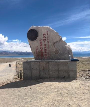 疯狂的小青蛙的头像