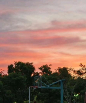 黑的可乐的头像