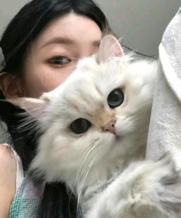 无聊的怡的头像