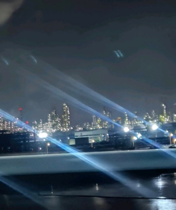 柠檬茶树的头像