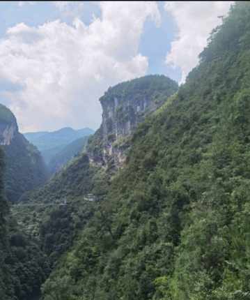 大林子大林子的头像