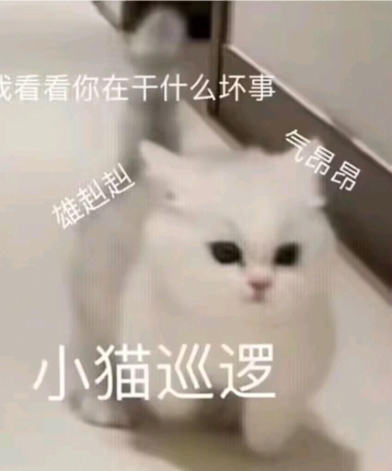 耄耄的头像