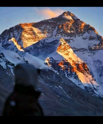 皇天不负有钱人的头像