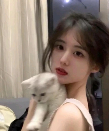 离落的花的头像