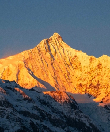 芦苇风985的头像