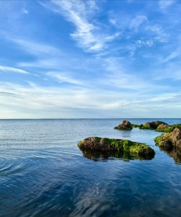 时间煮鱼的头像