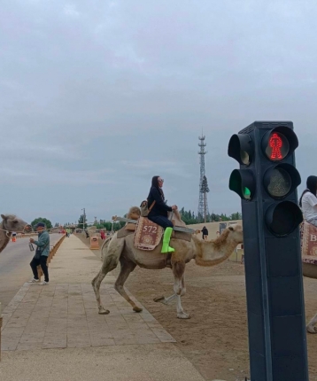 信江过客的头像