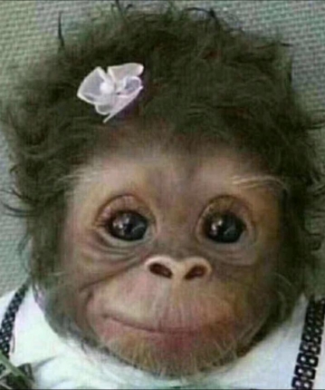 觉觉哈哈嗝的头像