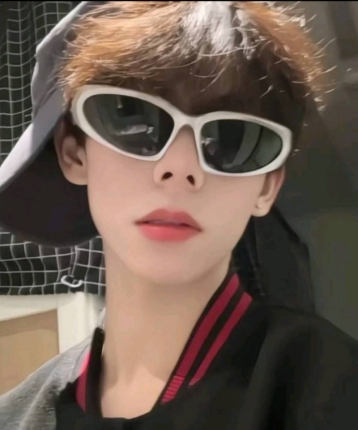 南极老狗的头像