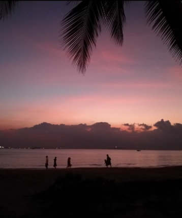 天涯若比邻A的头像