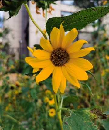 一酒风尘的头像