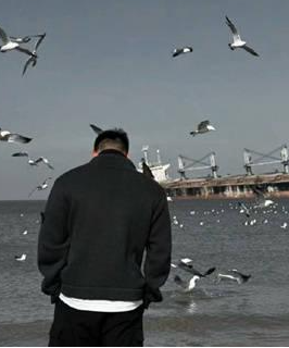 静止的风66的头像