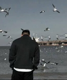 静止的风66的头像