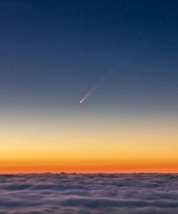 河西老五的头像