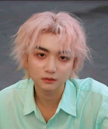 狩猎的灰狼的头像