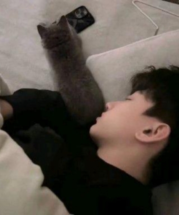 小不清的头像