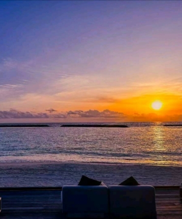 随便动动的头像