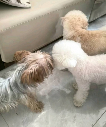 你在哪儿的头像