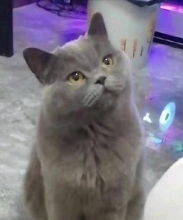 杨易泽的头像