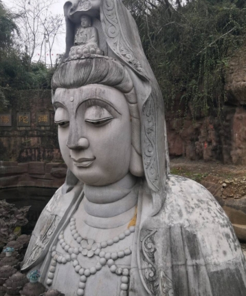 moneyforget的头像