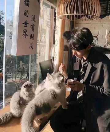 初三的头像