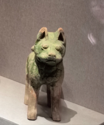 江苏土狗的头像