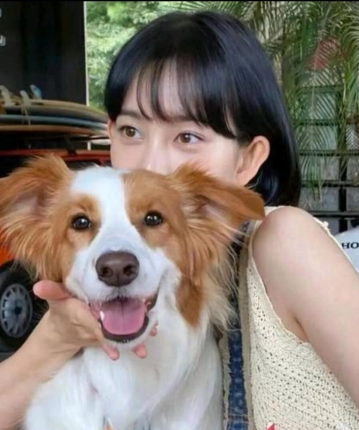 园林的头像
