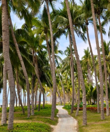 餐餐三分饱的头像