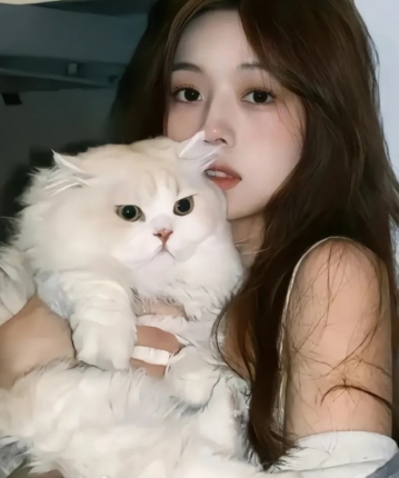 木子丫的头像