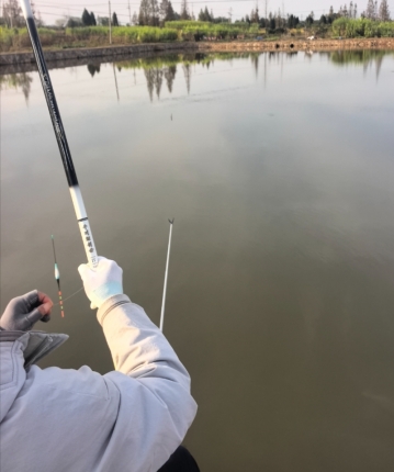 牙刷会弹琴的头像