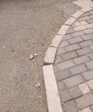 星落凝成糖的头像