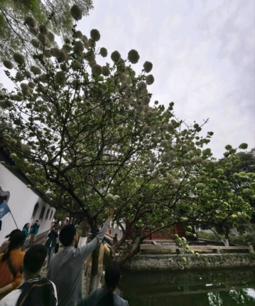 激流快艇的头像