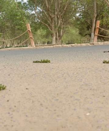 xxxxxxxxxxxx的头像