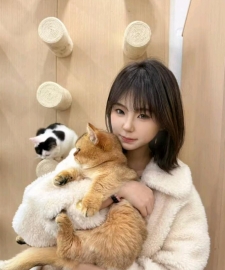 上海伴游饼干面包不好吃照片