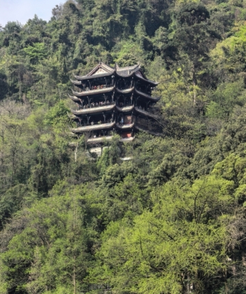 空城。的头像