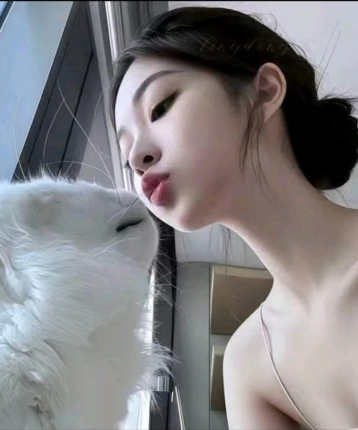 燕ai儿的头像