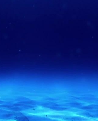 海底生物的头像