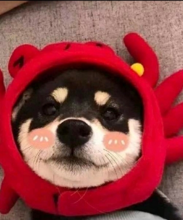 wes的头像