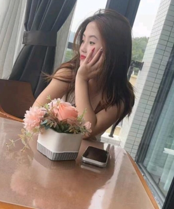 努力的星星的头像
