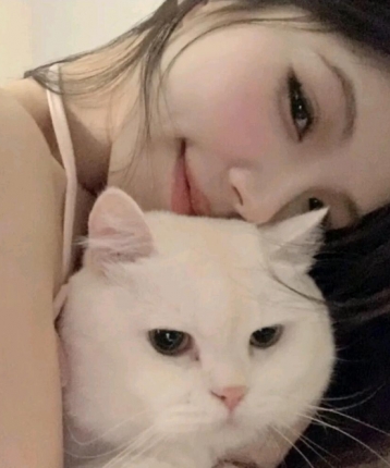 真凤真心的头像