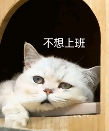 不值一提的头像