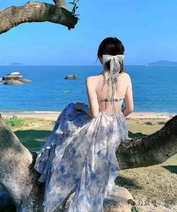 奶酪1.0的头像
