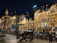 吖v的照片
