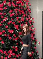 大柠檬果子的照片