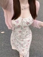 小鱼的鱼的照片