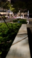 依依超甜呀的照片