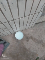 慢雾的照片
