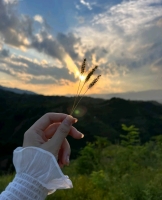 用户xtxk0x的照片