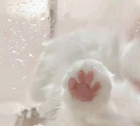 楚楚洋的照片